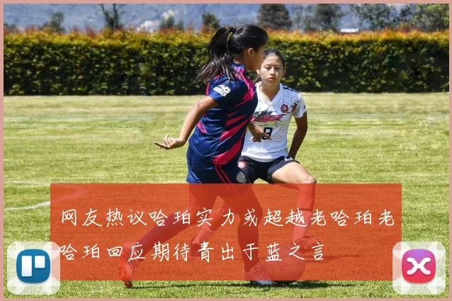 网友热议哈珀实力或超越老哈珀老哈珀回应期待青出于蓝之言