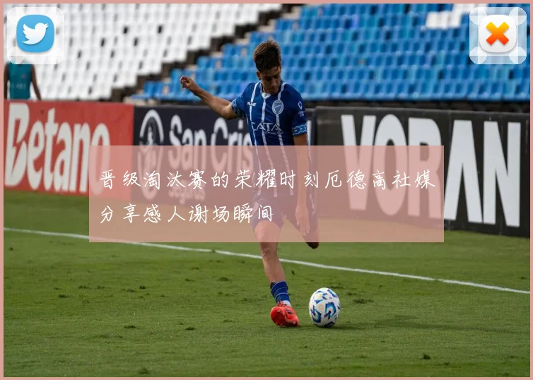 晋级淘汰赛的荣耀时刻厄德高社媒分享感人谢场瞬间
